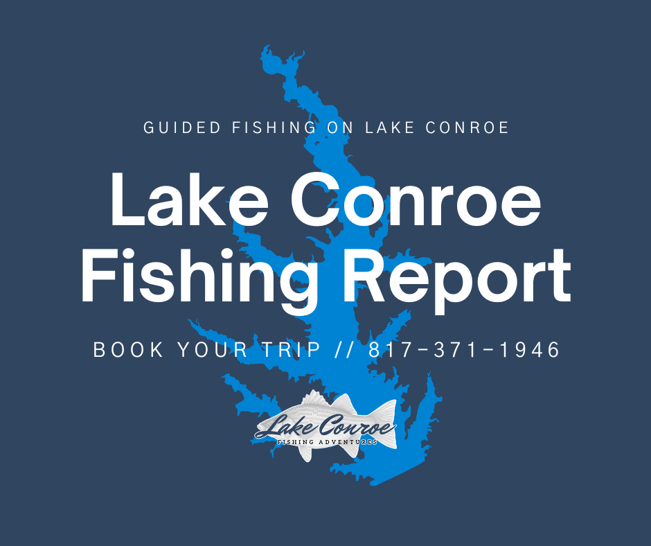 Lake Conroe Fishing Report for Lake Conroe Texas by Licensed Professional Fishing Guide Collin Edwards of Lake Conroe Fishing Adventures